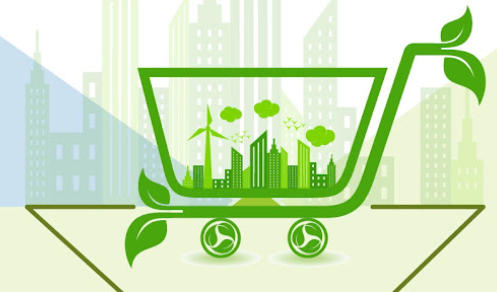 Sustainable Ecommerce Business